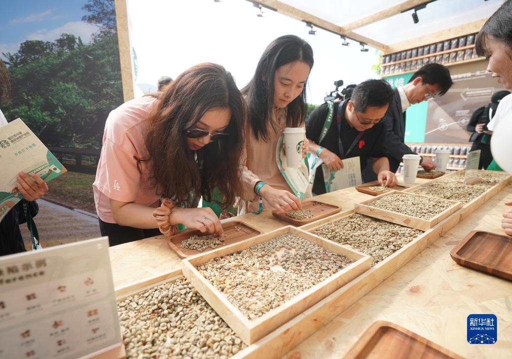 免费=彩金白菜网